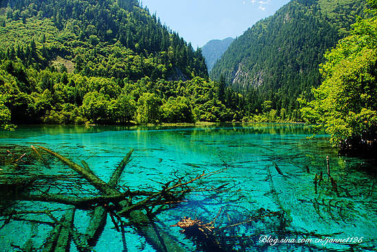 新浪旅游配图:九寨沟 摄影:J调de华丽